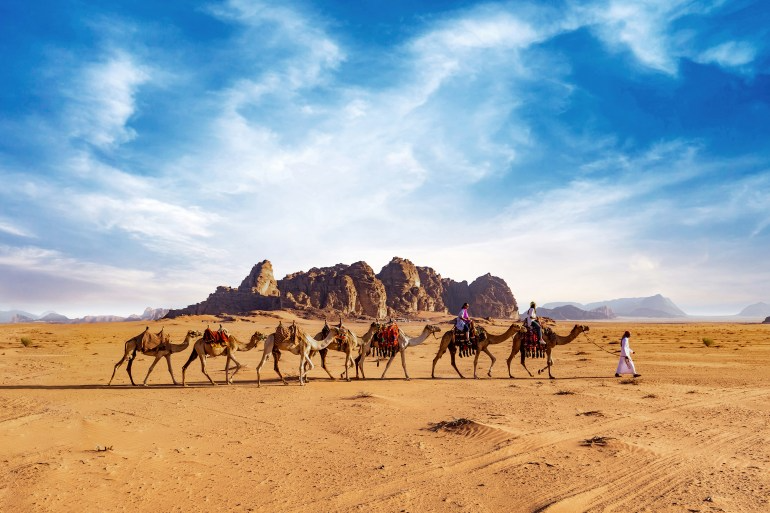 Camel Tours in Wadi Rum